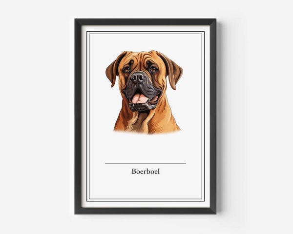 Boerboel