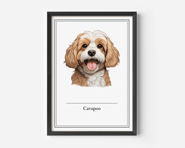Cavapoo