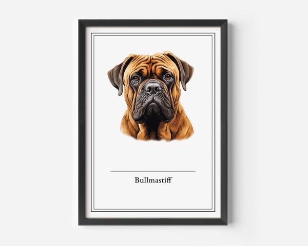 Bullmastiff