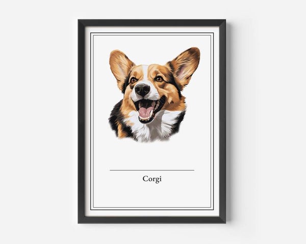 Corgi