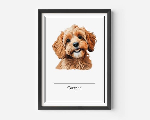 Cavapoo