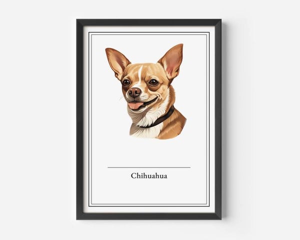 Chihuahua