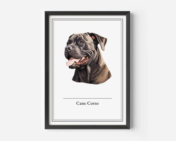 Cane Corso