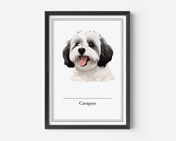 Cavapoo