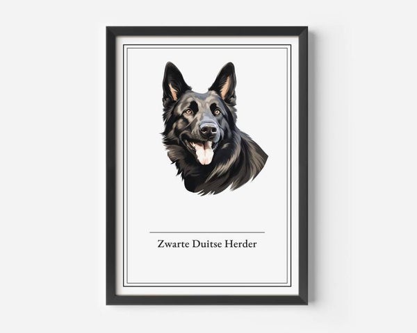Zwarte Duitse Herder
