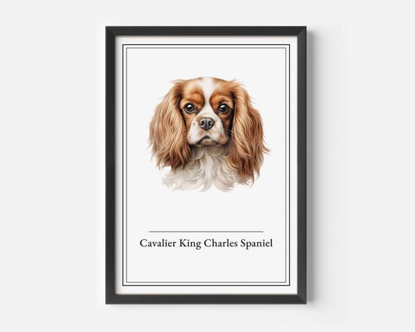 Cavalier King Charles Spaniel