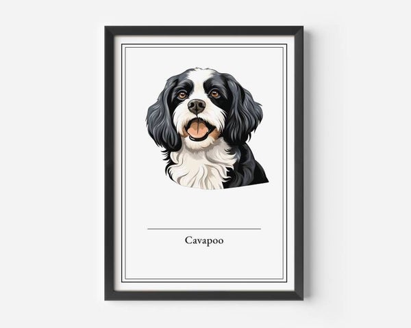 Cavapoo