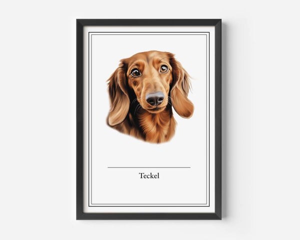 Teckel