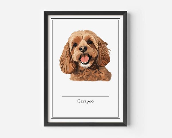 Cavapoo