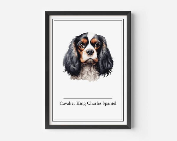 Cavalier King Charles Spaniel