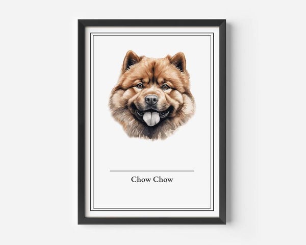 Chow Chow