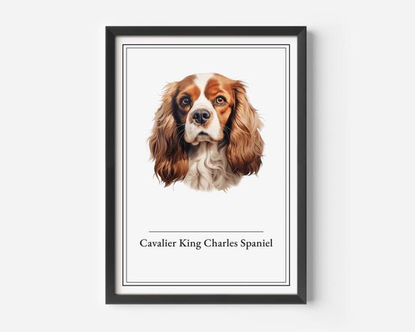 Cavalier King Charles Spaniel