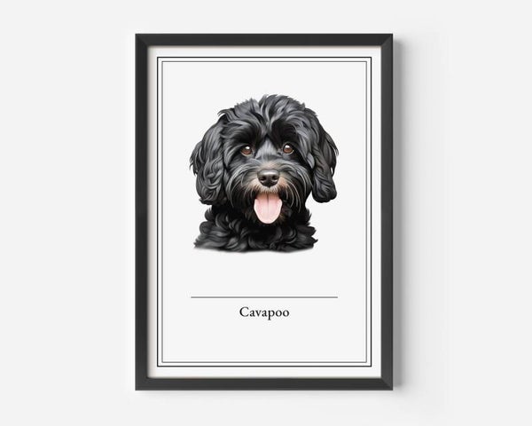 Cavapoo