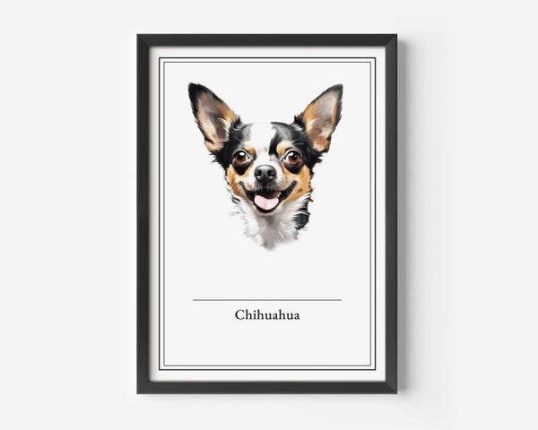 Chihuahua