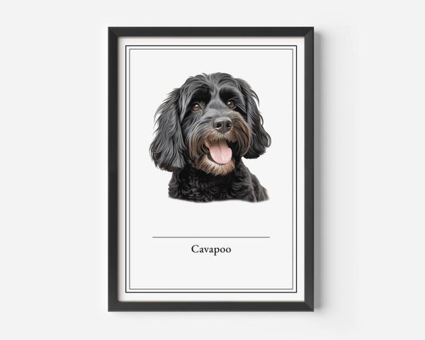 Cavapoo