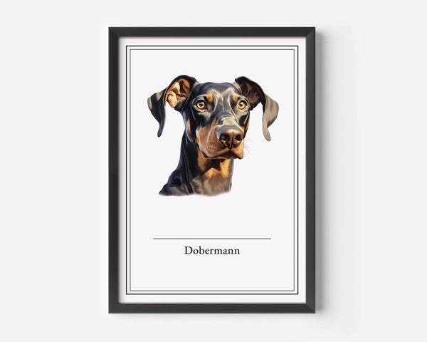 Dobermann