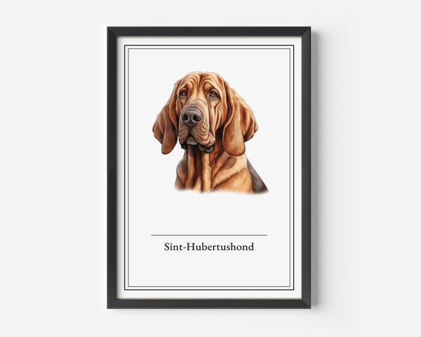 Sint-Hubertushond
