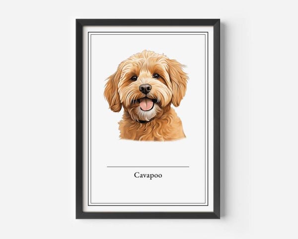 Cavapoo