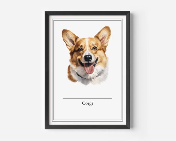 Corgi