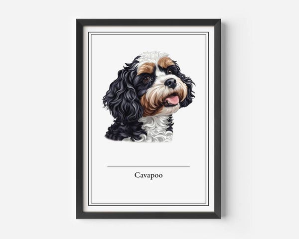 Cavapoo