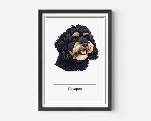 Cavapoo
