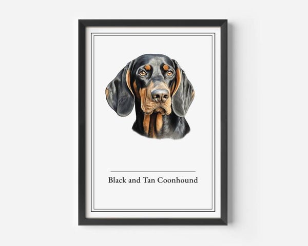 Black and Tan Coonhound