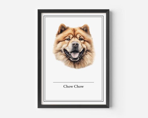 Chow Chow