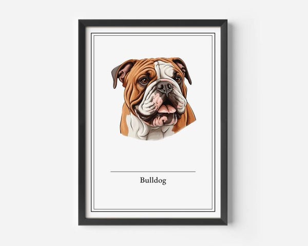 Bulldog