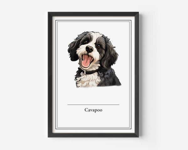 Cavapoo