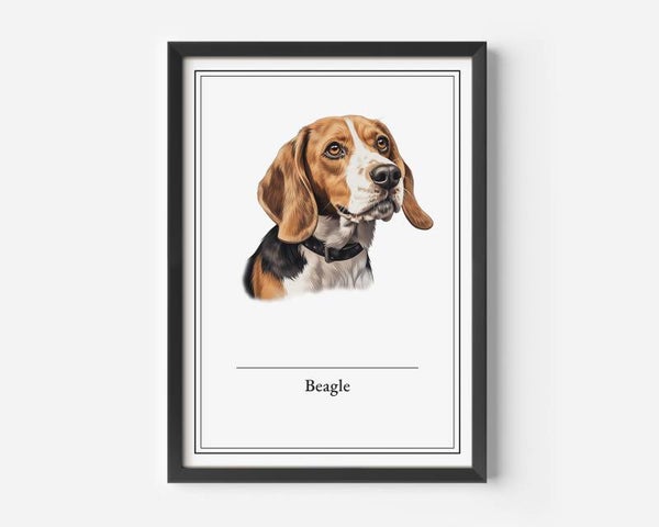 Beagle