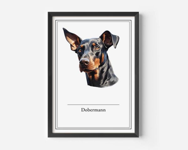 Dobermann