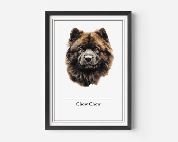 Chow Chow