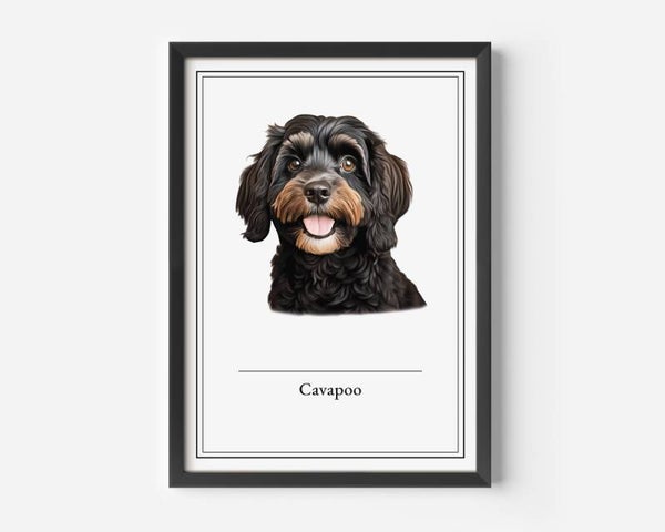 Cavapoo
