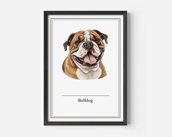 Bulldog