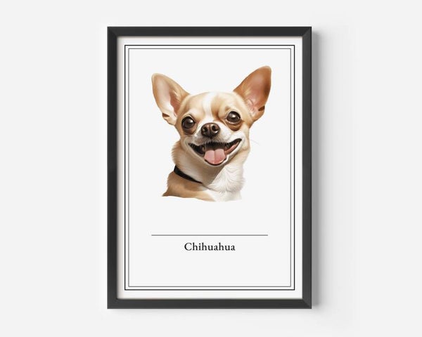 Chihuahua