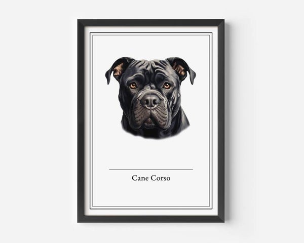 Cane Corso
