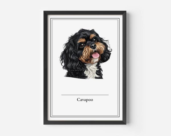 Cavapoo