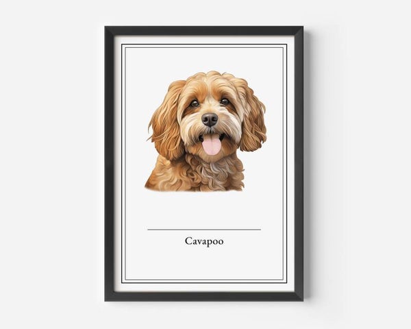 Cavapoo
