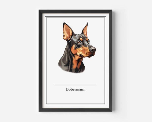 Dobermann