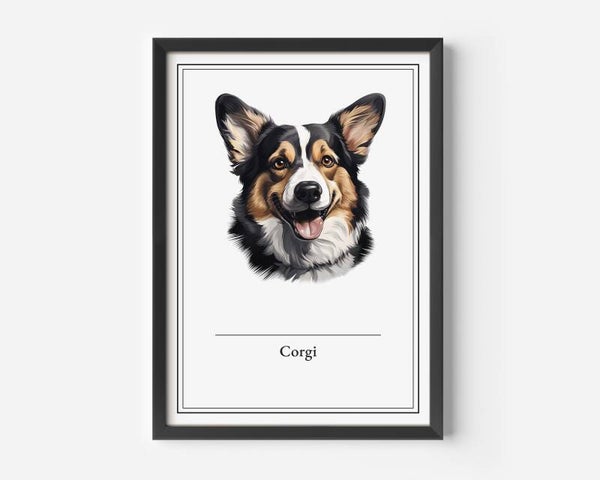 Corgi