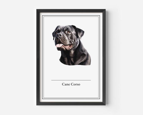Cane Corso
