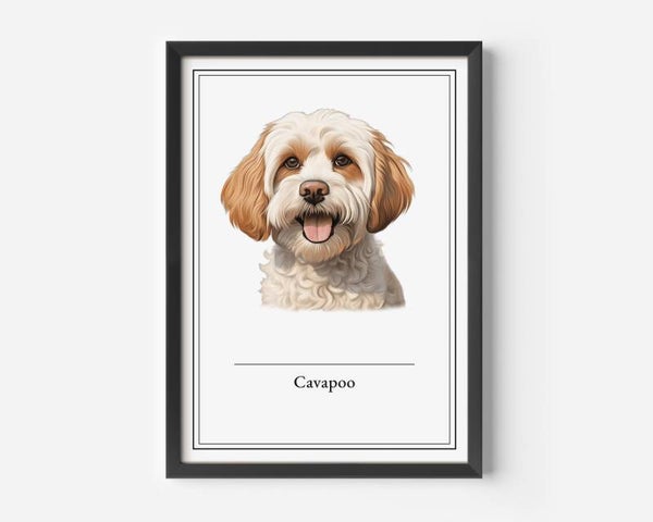 Cavapoo