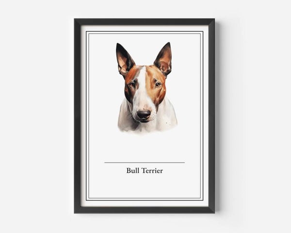 Bull Terrier