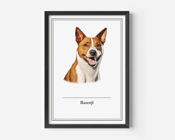 Basenji