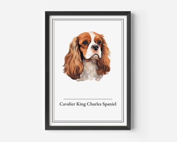 Cavalier King Charles Spaniel