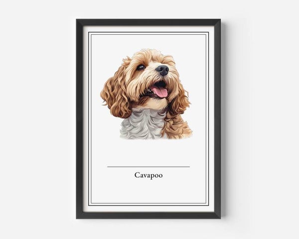 Cavapoo