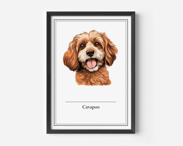 Cavapoo