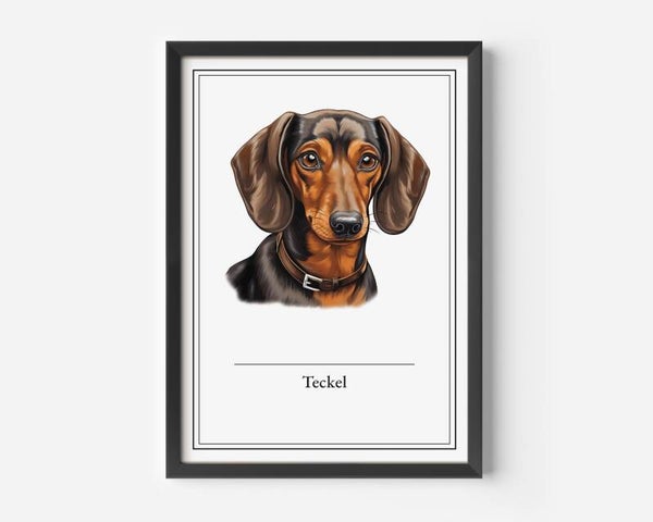 Teckel