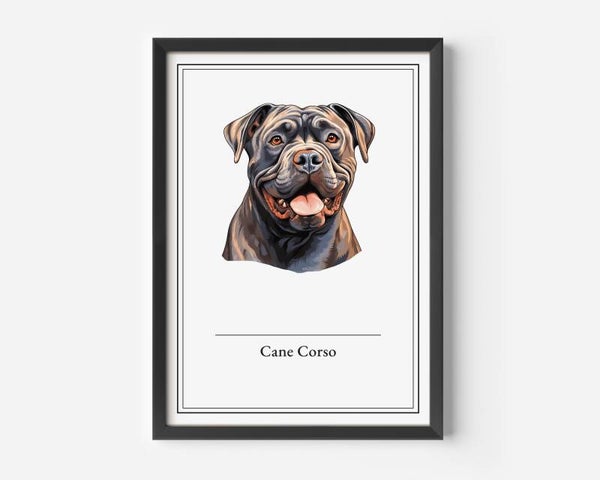 Cane Corso