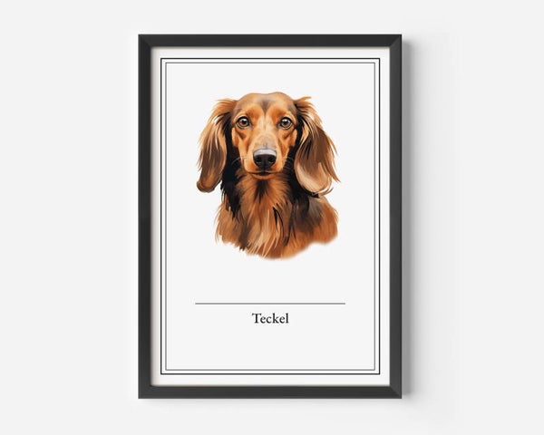 Teckel